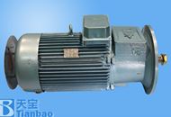 YZR250M1-8-30KW(立式)